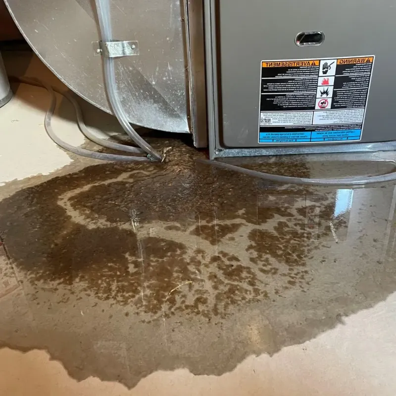 Pipe Burst and Leak Restoration in Big Stone Gap, VA