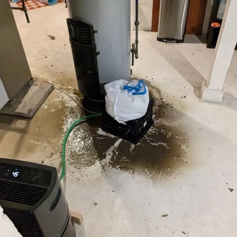 Sewage Backup Cleanup Service in Big Stone Gap, VA